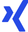 Xing Icon